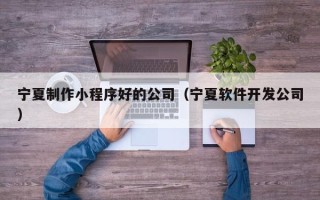 长兴宁夏制作小程序好的公司（宁夏软件开发公司）
